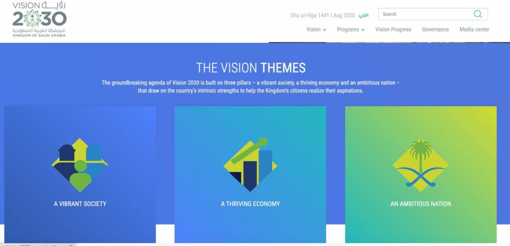 The Vision Themes