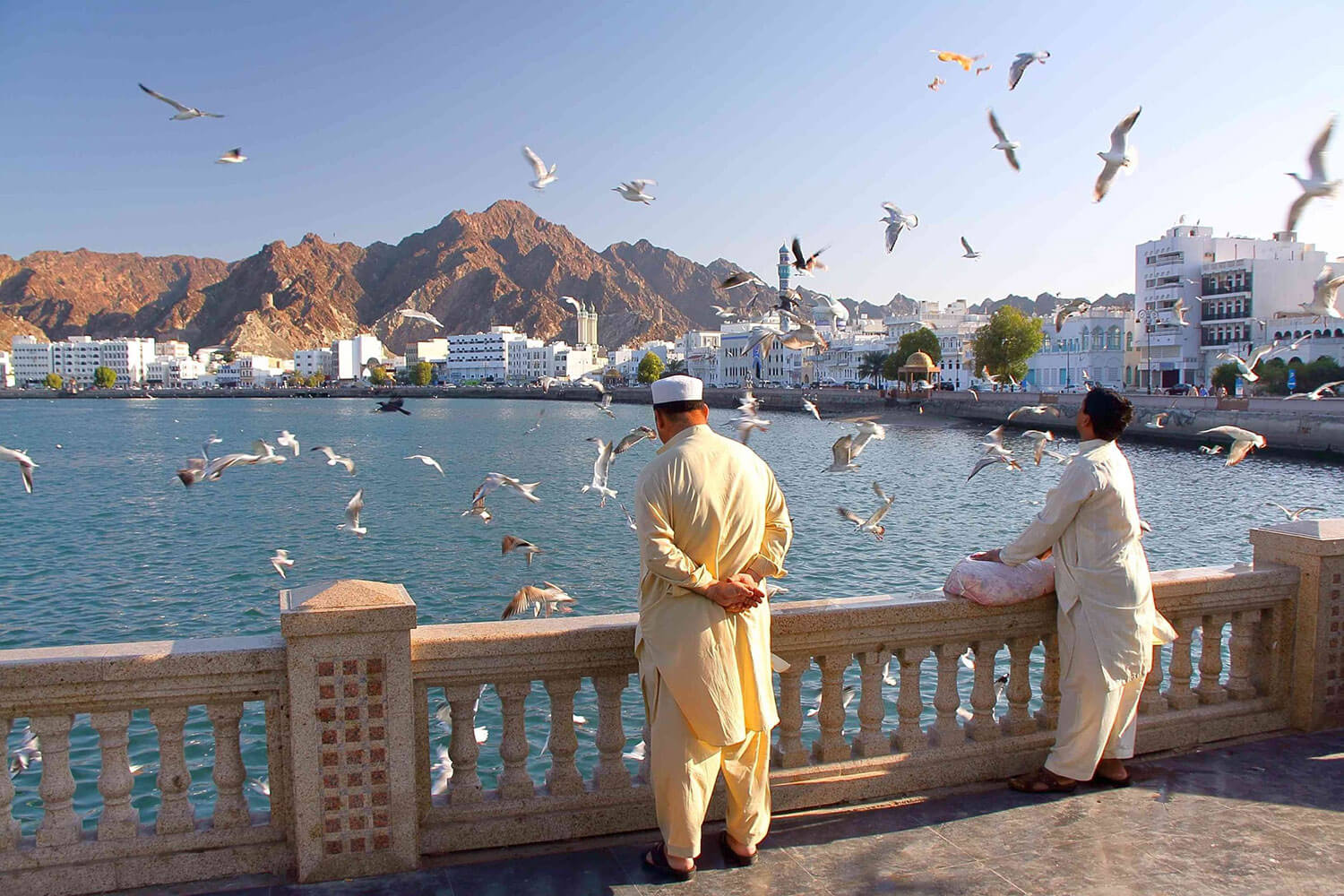 Oman search engine optimization