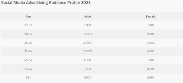 Social Media Advertising Audince Profile 2023 Table