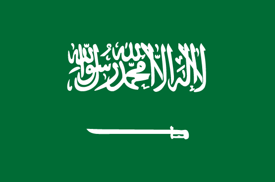 internet marketing in Saudi Arabia