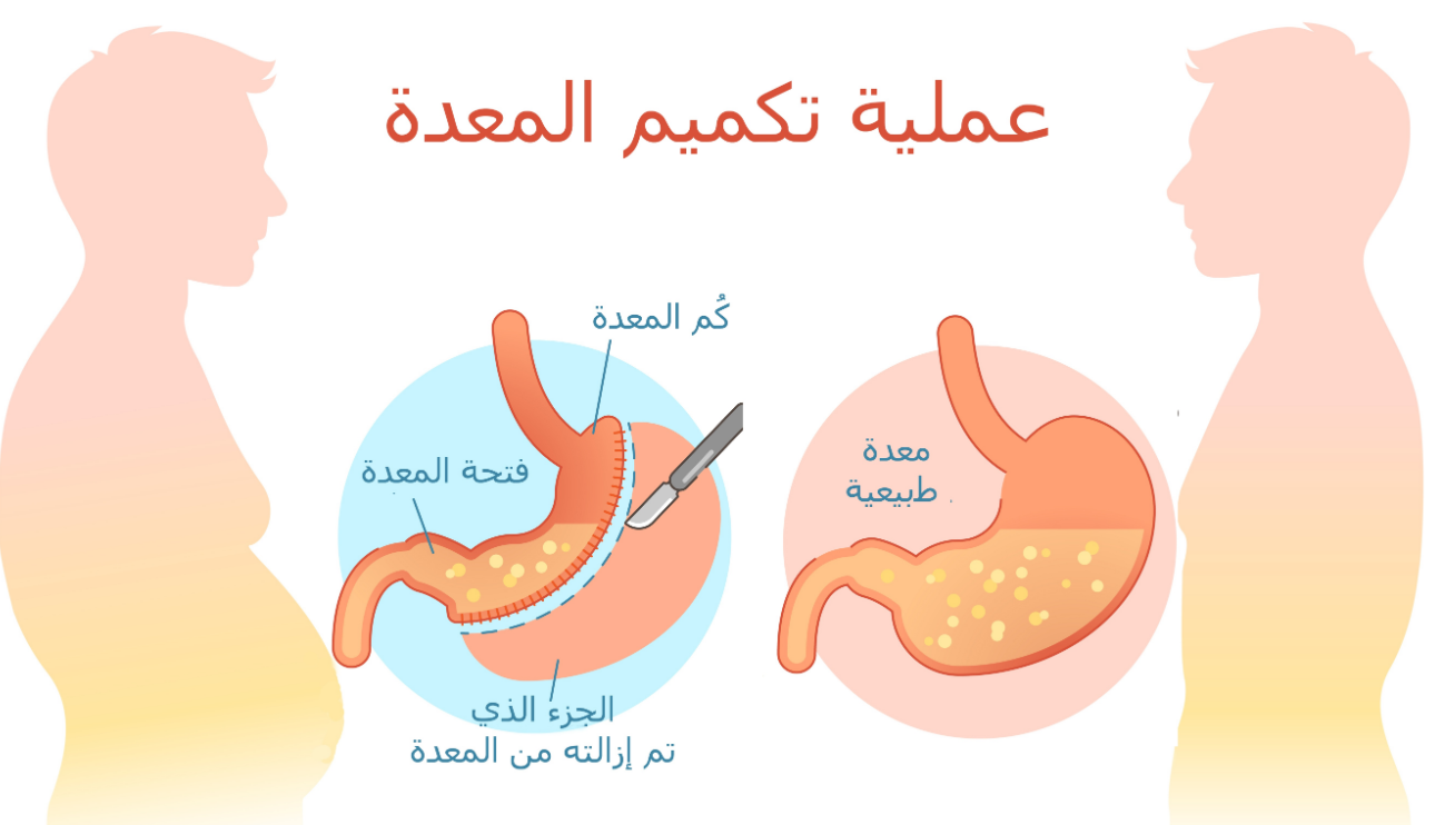arabic medical diagram translation
