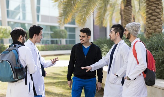 Male arab students