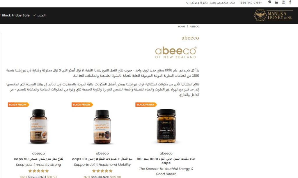 Arabic E-commerce SEO Case Study